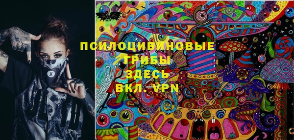 таблы Горняк