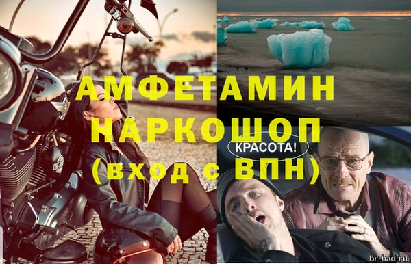 PSILOCYBIN Волосово