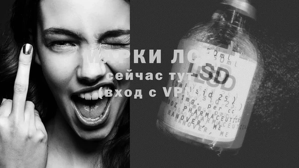 PSILOCYBIN Волосово