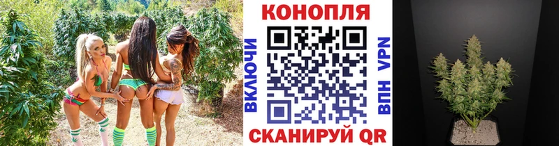 Купить закладки  Белоозёрский  Марихуана LSD WEED 